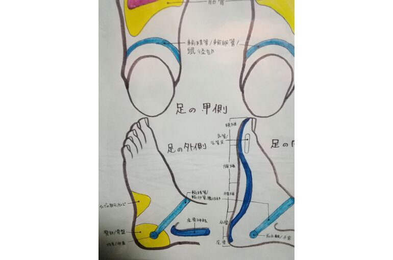 反射区イラスト