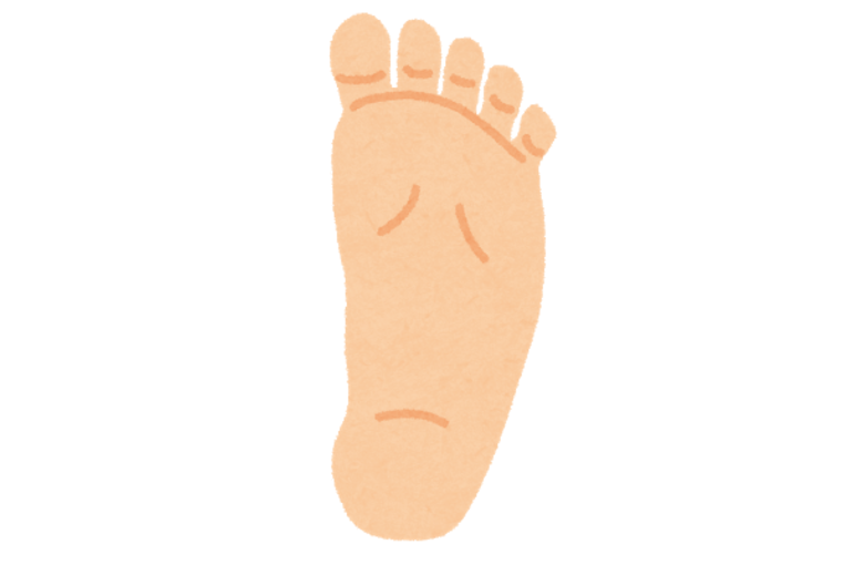 足裏　イラスト