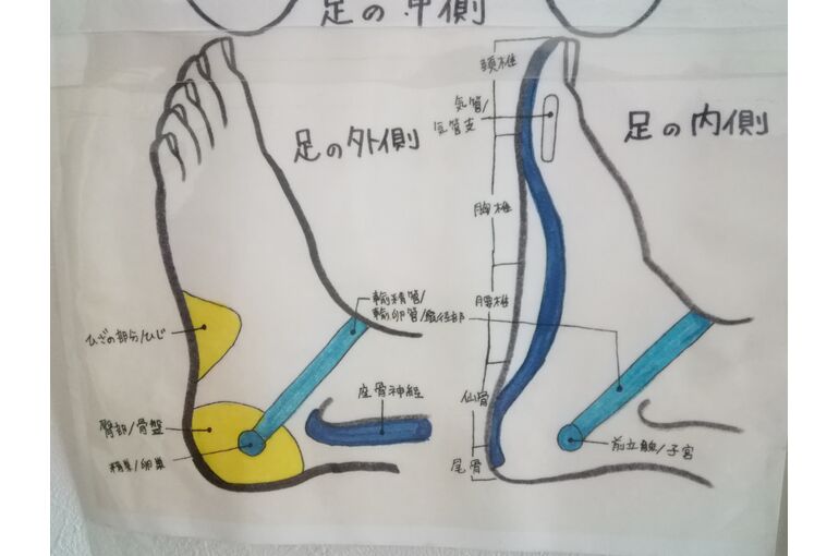 かかと反射区