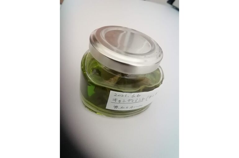 ミントのチンキ