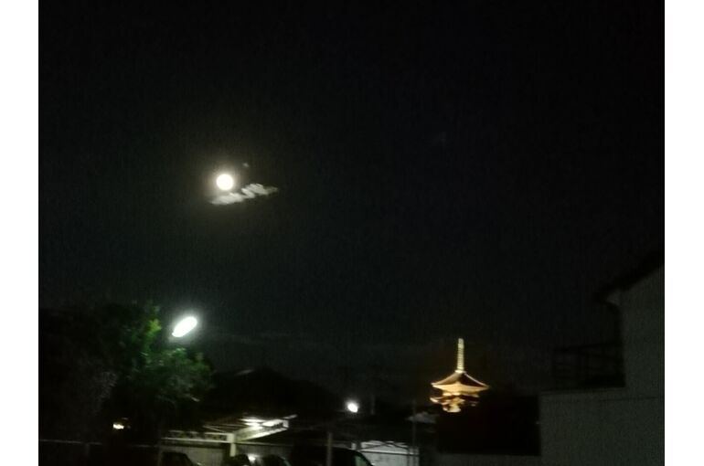 東寺の夜景