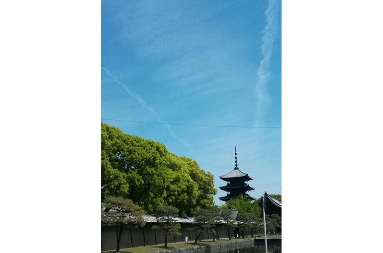 東寺