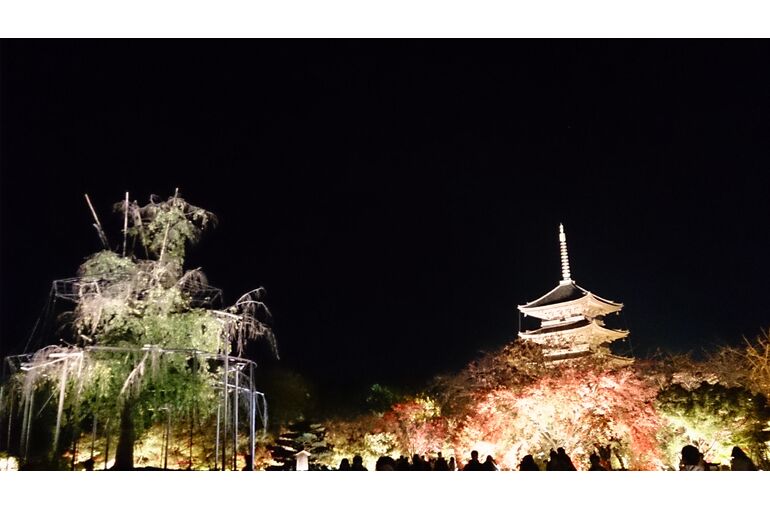 秋の東寺夜景
