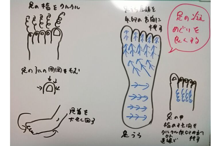 リフレの図