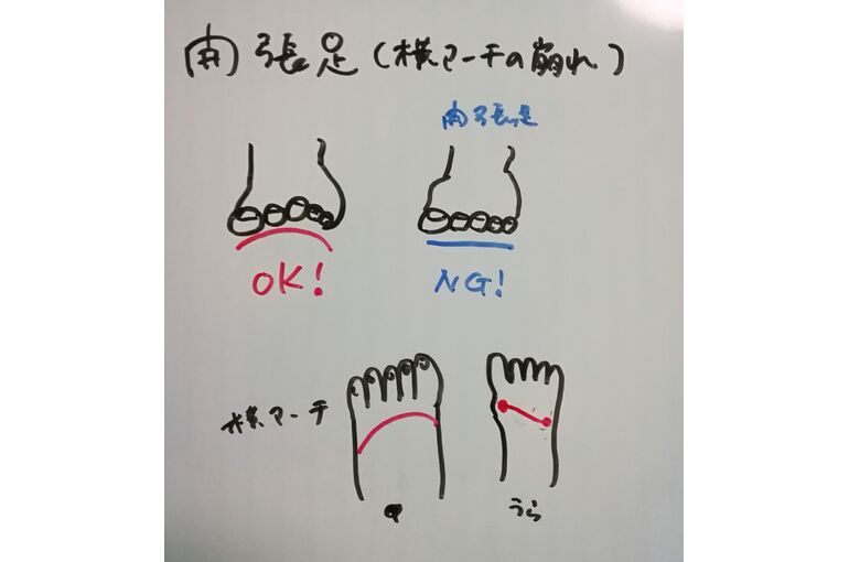 開帳足イラスト