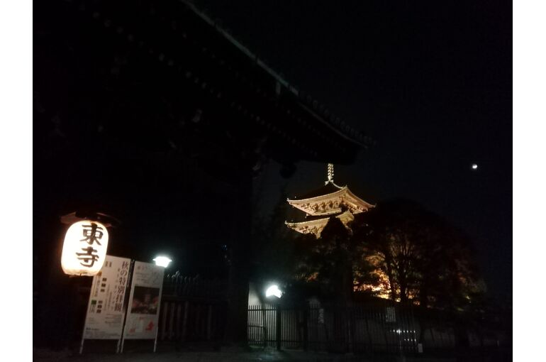 夜の東寺