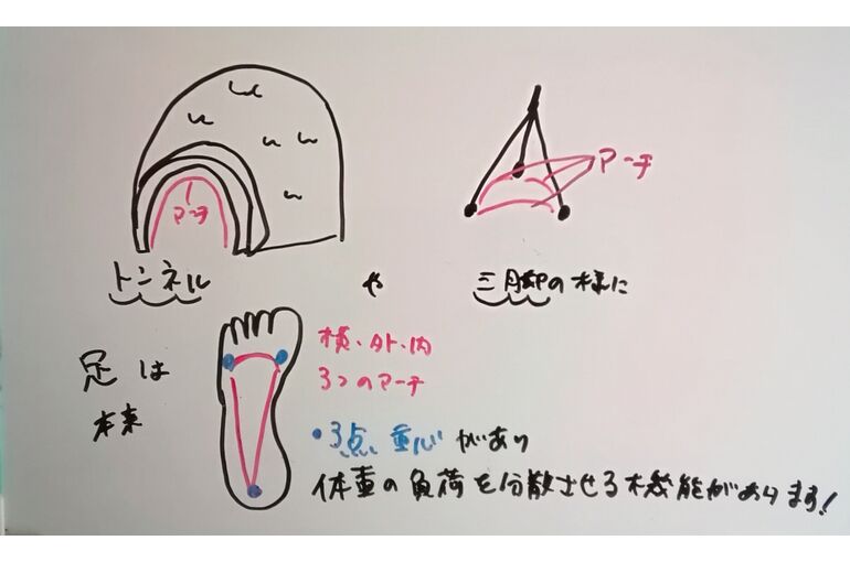足のアーチイメージ