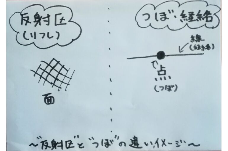つぼと反射区の違い