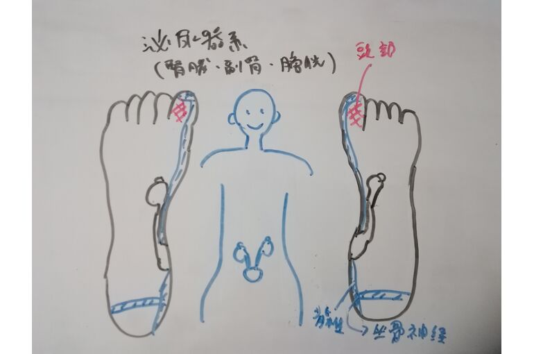 反射区イメージイラスト