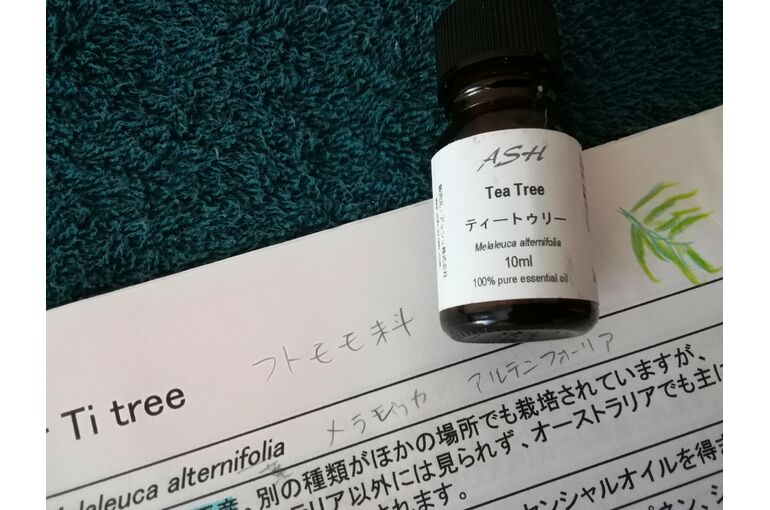 アロマセラピー学びイメージ