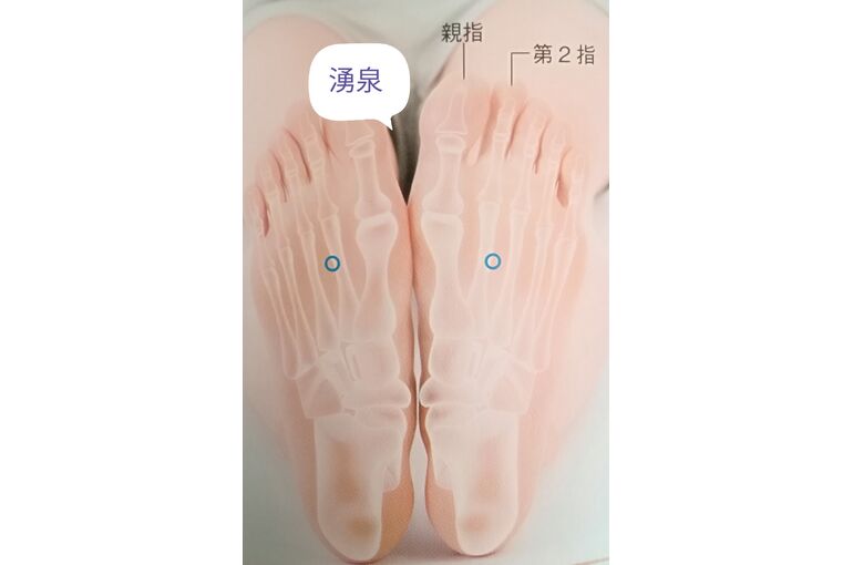 足裏ツボ