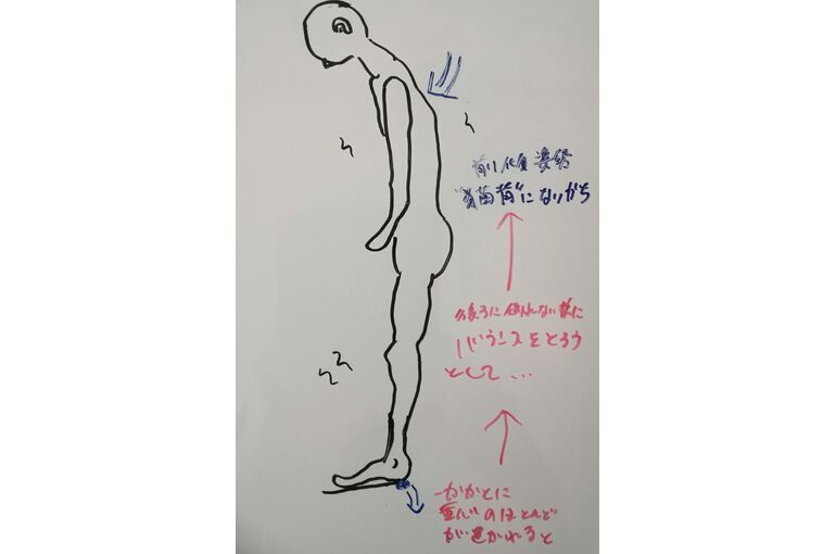 踵重心姿勢イメージ