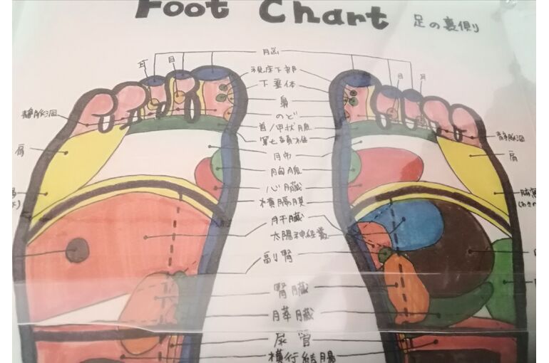 リフレ反射区イラスト