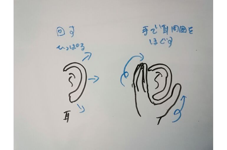 耳マッサージいらすと