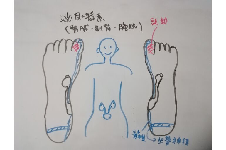 反射区イメージ