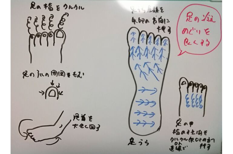 リフレクソロジーの反射区