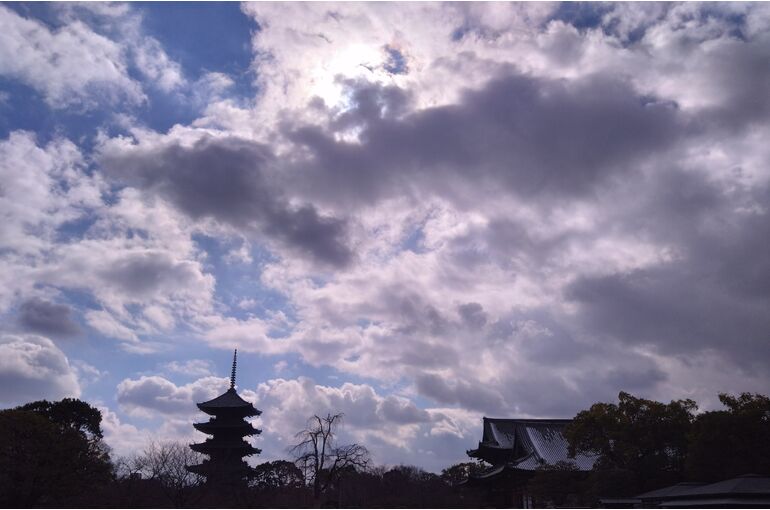 東寺・冬